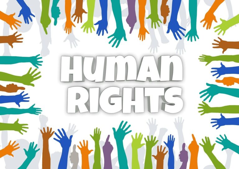 law, human right, human-597133.jpg